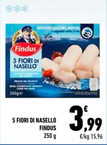 Conad City 5 FIORI DI NASELLO FINDUS 250 g offerta