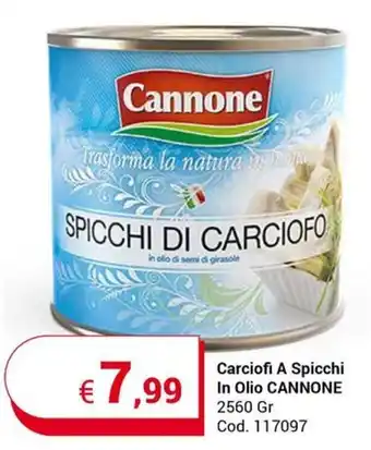 Centro Cash Carciofi A Spicchi In Olio CANNONE 2560 Gr offerta
