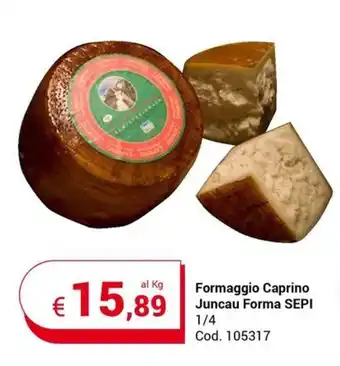 Formaggio Caprino Juncau Forma SEPI 1/4
