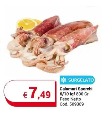Centro Cash SURGELATO Calamari Sporchi 6/10 Iqf 800 Gr Peso Netto Calamari Sporchi 6/10 lqf 800 Gr Peso Netto offerta