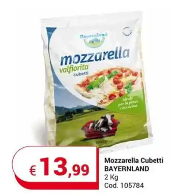 Centro Cash Mozzarella Cubetti BAYERNLAND 2 kg offerta
