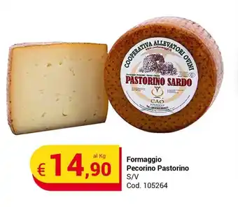 Centro Cash Formaggio Pecorino Pastorino S/V offerta