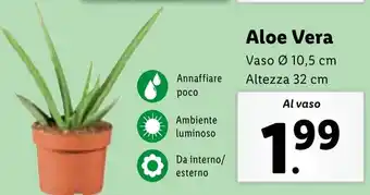 Lidl Aloe Vera offerta