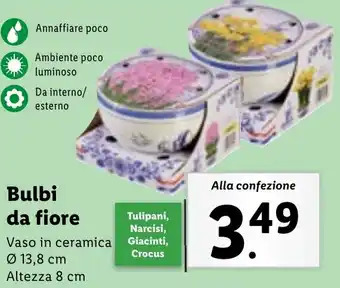 Lidl Bulbi da fiore offerta