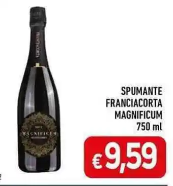 SPUMANTE FRANCIACORTA MAGNIFICUM 750 ml
