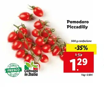 Pomodoro Piccadilly 500 g confezione