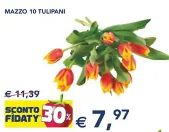 Esselunga MAZZO 10 TULIPANI offerta