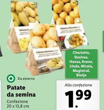 Lidl Patate da semina Confezione 20 x 13,8 cm offerta