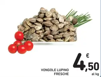 Spazio Conad VONGOLE LUPINO FRESCHE offerta