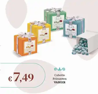 Cubotto Primavera VANOIR