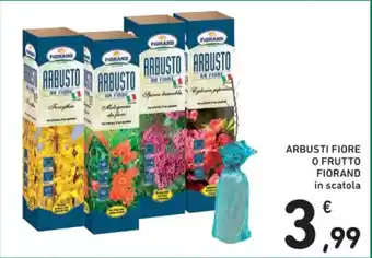 Spazio Conad ARBUSTI FIORE O FRUTTO FIORAND in scatola offerta
