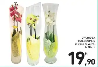 Spazio Conad ORCHIDEA PHALENOPSIS in vaso di vetro, h 70 cm offerta