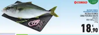 Conad NEI PUNTI VENDITA CON REPARTO PESCHERIA RICCIOLA OCEANICA CONAD PERCORSO QUALITÀ allevata 800/1300 g circa al kg offerta