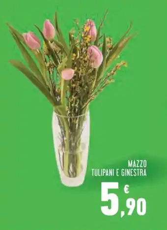 Conad Superstore MAZZO TULIPANI E GINESTRA offerta
