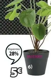 Pianta Artificiale Mikkel