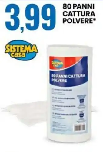 Eurospin 80 PANNI CATTURA POLVERE offerta