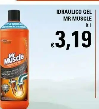 Basko Mr muscle Idraulico Gel offerta