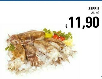 Basko Seppie offerta