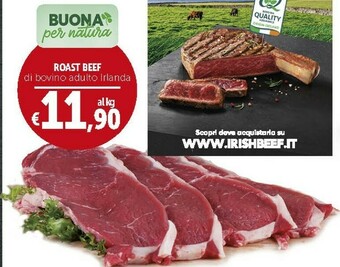 Roast Beef Di Bovino Adulto