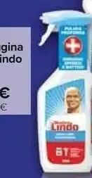 Carrefour Mastro lindo Spray Candeggina offerta