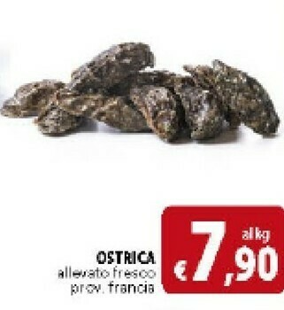 Deco Supermercati Frutti di mare offerta