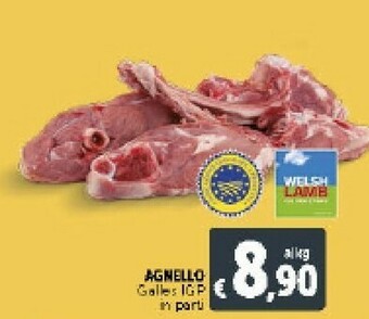 Agnello