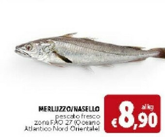 Deco Supermercati Pesche offerta