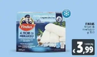 Deco Supermercati Findus 4 Fiori Di Merluzzo offerta