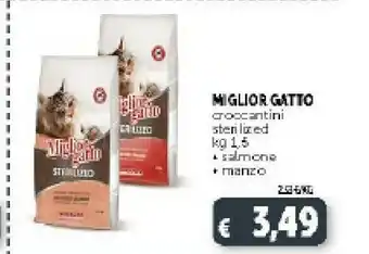 Deco Supermercati Pedigree Cibo per cani offerta