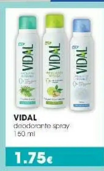 Tigotà Vidal Deodorante Spray offerta