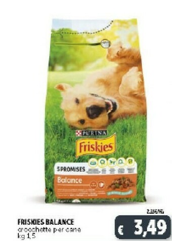Deco Supermercati Friskies Cibo per cani offerta