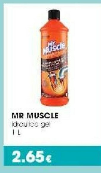 Tigotà Mr muscle Idraulico Gel offerta