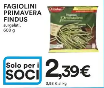 Ipercoop FAGIOLINI PRIMAVERA FINDUS surgelati, 600 g offerta