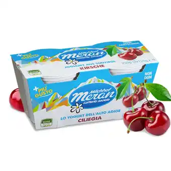 Qui Discount YOGURT MERANO INTERO GUSTI ASSORTITI 125 GR X 2 offerta
