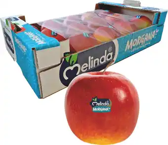 MD Discount MELE MORGANA offerta