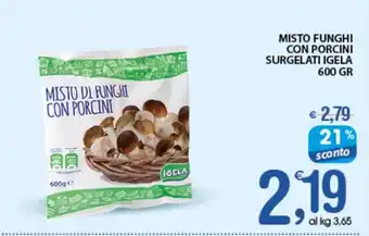 Qui Discount MISTO FUNGHI CON PORCINI SURGELATI IGELA 600 GR offerta