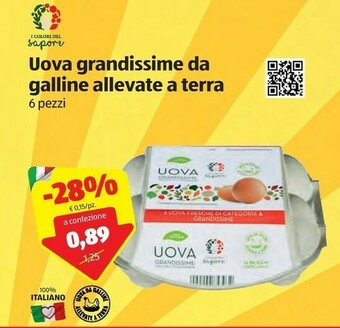 ALDI I colori del sapore Uova Grandissime Da Galline Allevate A Terra offerta