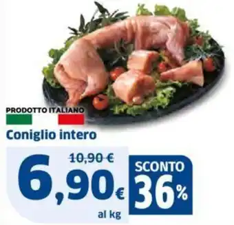 Sigma Coniglio intero offerta