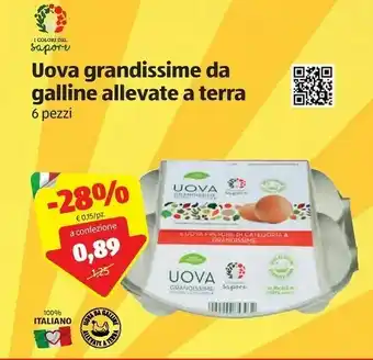 ALDI I colori del sapore Uova Grandissime Da Galline Allevate A Terra offerta