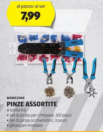 ALDI WORKZONE PINZE ASSORTITE offerta