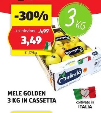 ALDI MELE GOLDEN 3 KG IN CASSETTA offerta