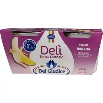 DEL GIUDICE