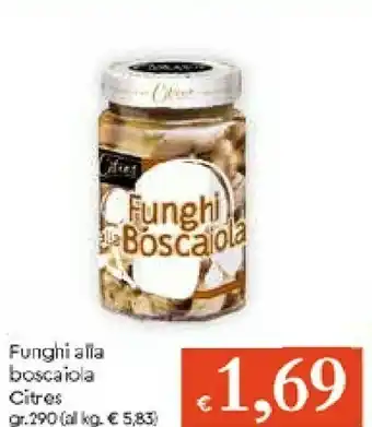 Galassia Citres Funghi Alla Boscaiola offerta