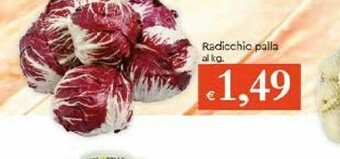 Galassia Radicchio Palla offerta