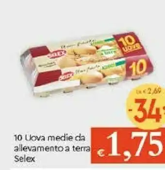 Galassia Selex 10 Uova Medie Da Allevamento a Terra offerta