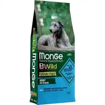 Ayoka MONGE offerta