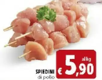 Deco Supermercati Spiedini Di Pollo offerta