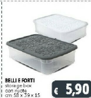 Belli e forti Storage Box Con Ruote