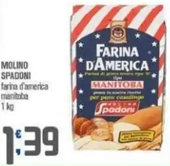 Ottimo Market MOLINO SPADONI farina d'america manitoba 1 kg offerta