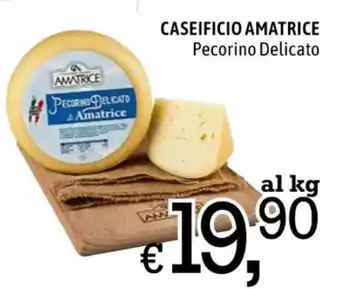 CASEIFICIO AMATRICE Pecorino Delicato